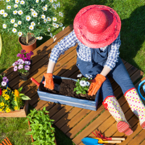 Gardening Made Easy For Busy People