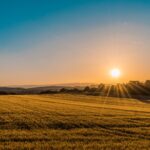 Six Ways to Profit From Your Land
