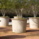 Tips on Choosing Tree Planters