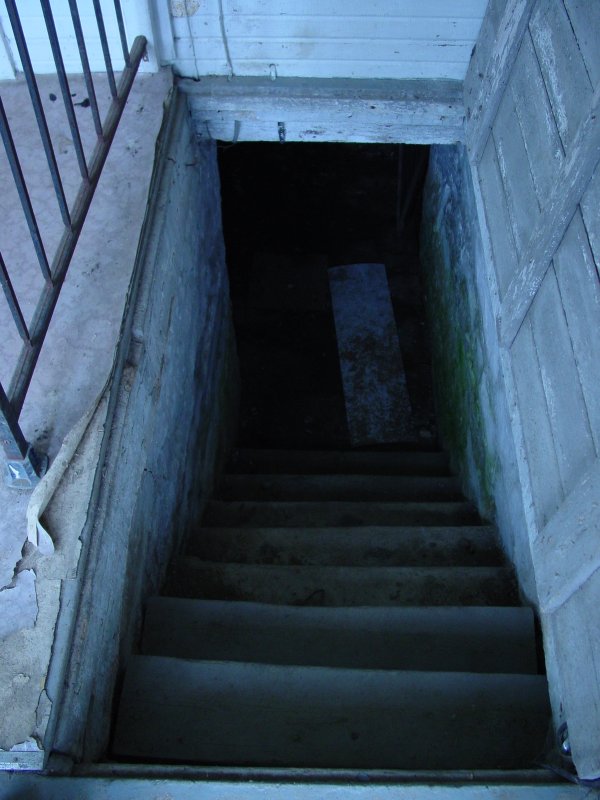 basement steps