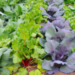 Helping The Earth Starts At Home: Here's What You Can Do