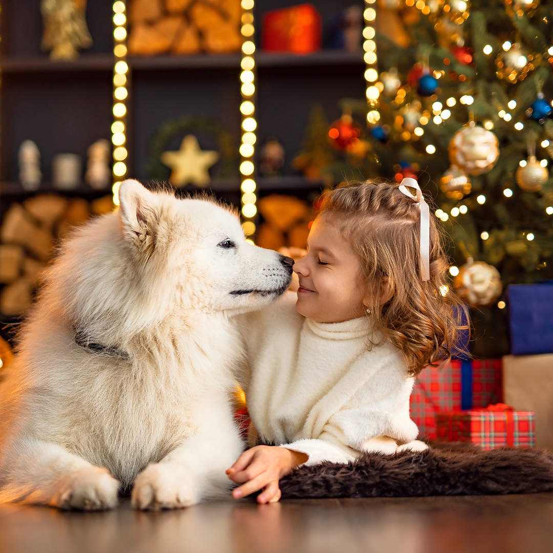 Pets For Christmas Everything You Need To Know