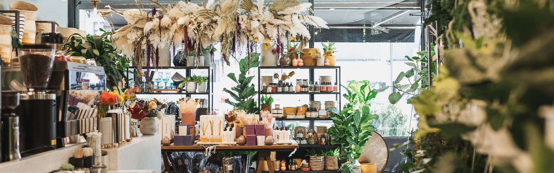 Plant Shed Prince Street location now open