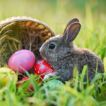 Hoppy Easter Download PNG