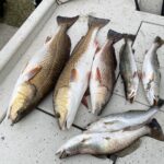GULF COAST SALTWATER FISHING #2