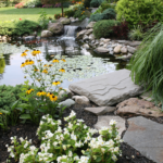 A Beginner's Guide to Building a Wildlife Pond