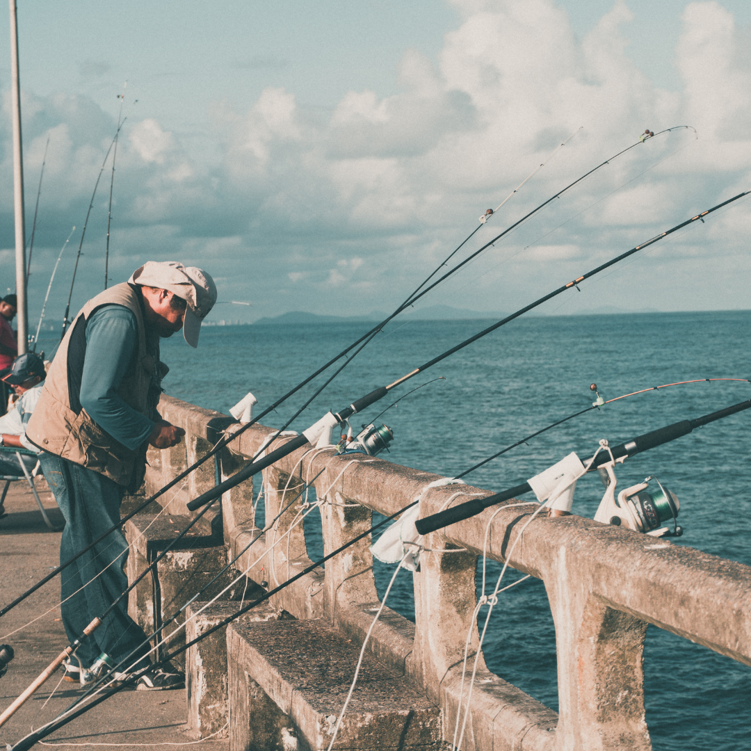 Reeling in the Best: Top 5 Gulf Coast Saltwater Fishing Rods for Your Next Adventure