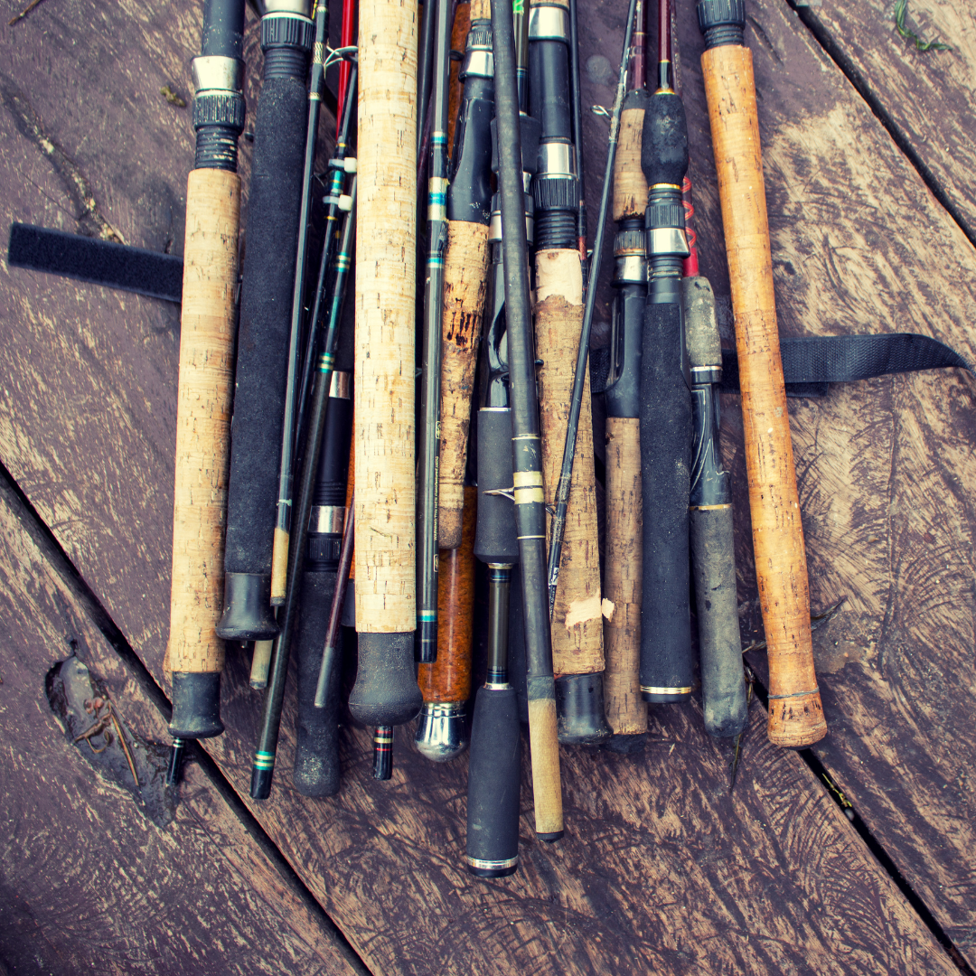 Reeling in the Best: Top 5 Gulf Coast Saltwater Fishing Rods for Your Next Adventure