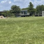 Essential Dos and Don’ts Of Boosting Your Home’s Value