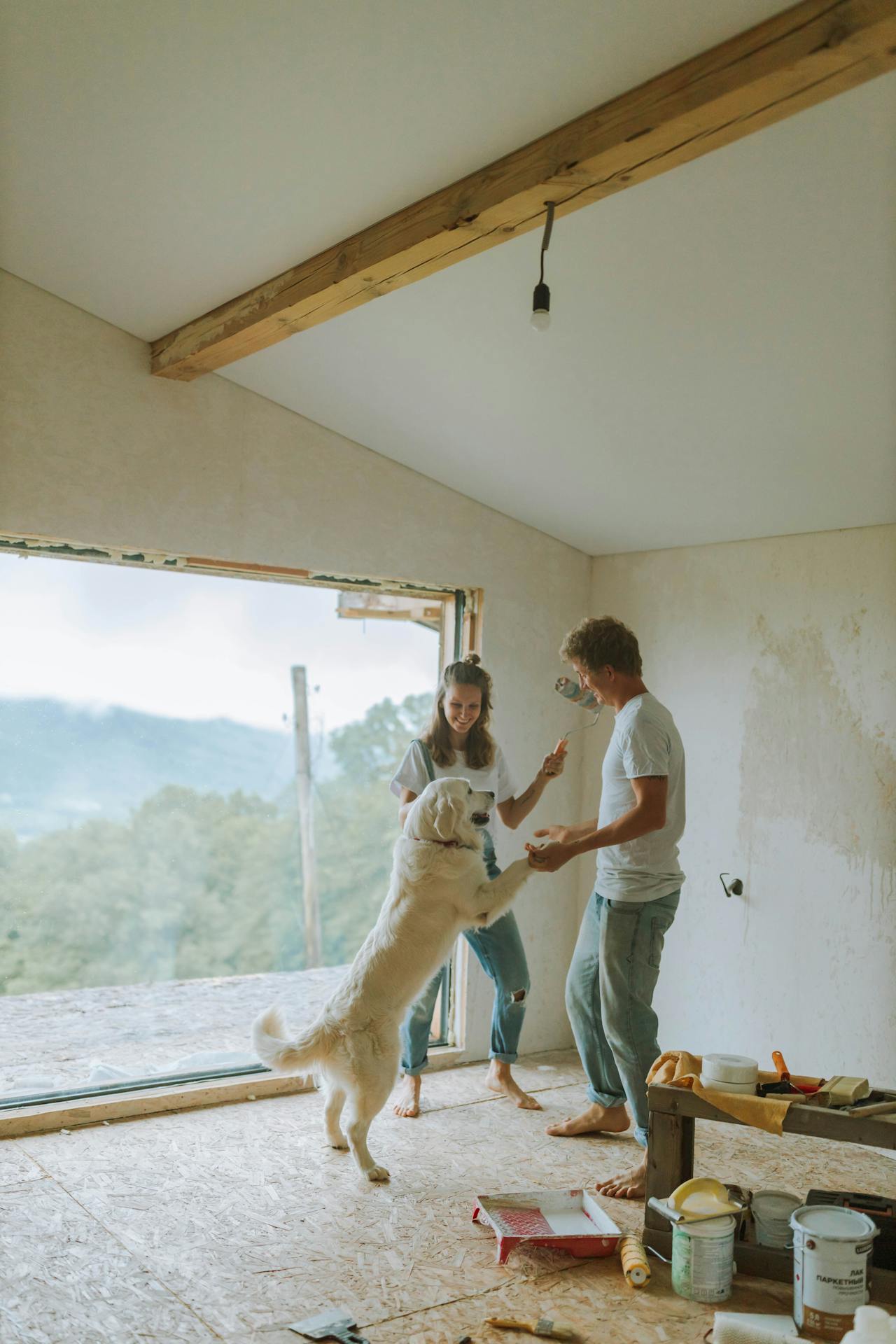 What To Check Before Starting A Home Renovation