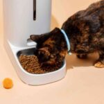 Simple Upgrades to Make Your Life as a Pet Parent Much Easier