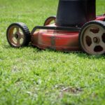 7 Ways To Make Your Garden Much Less Work