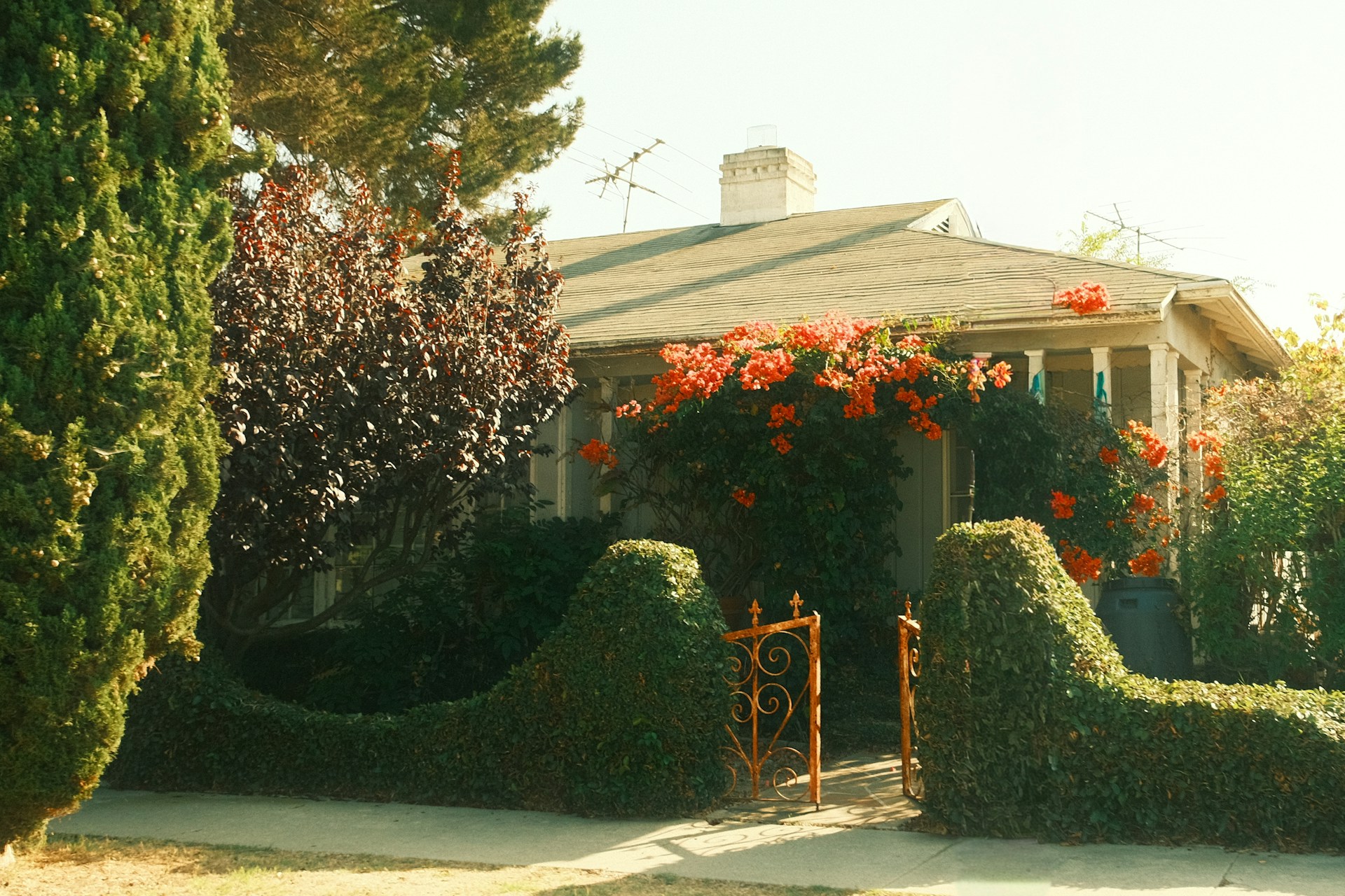 Smart Tips to Buy Your First Home (Without the Stress)