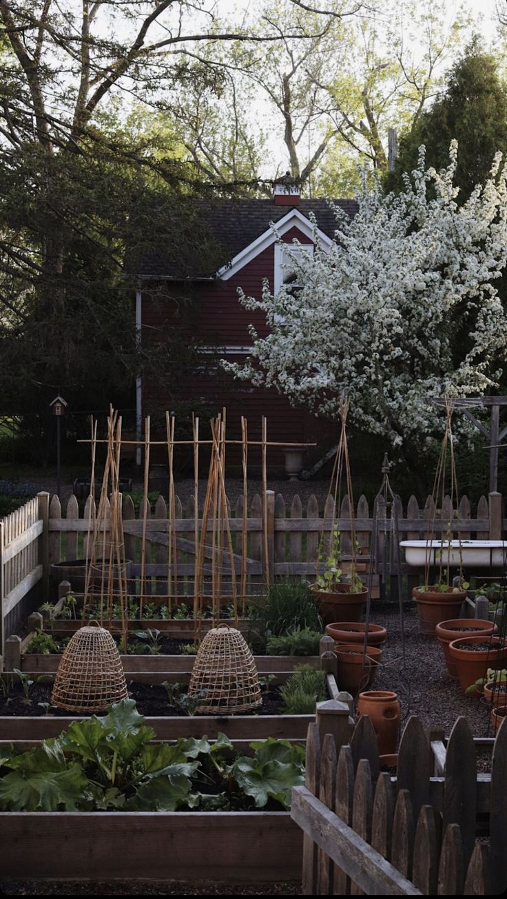 Homestead Gardening: Growing Food, Faith, and Joy from the Soil