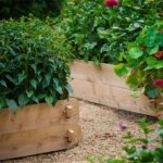 Homestead Gardening: Growing Food, Faith, and Joy from the Soil