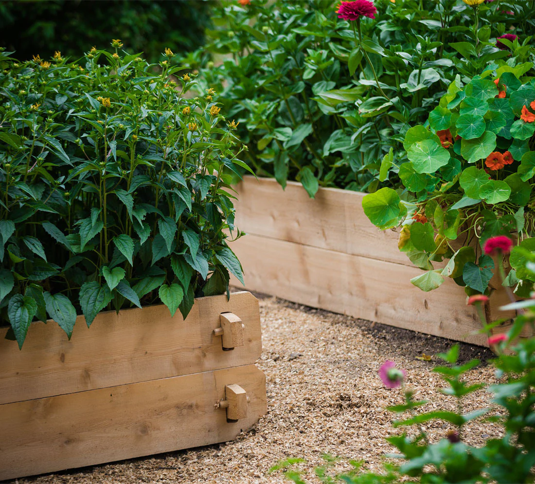 Homestead Gardening: Growing Food, Faith, and Joy from the Soil